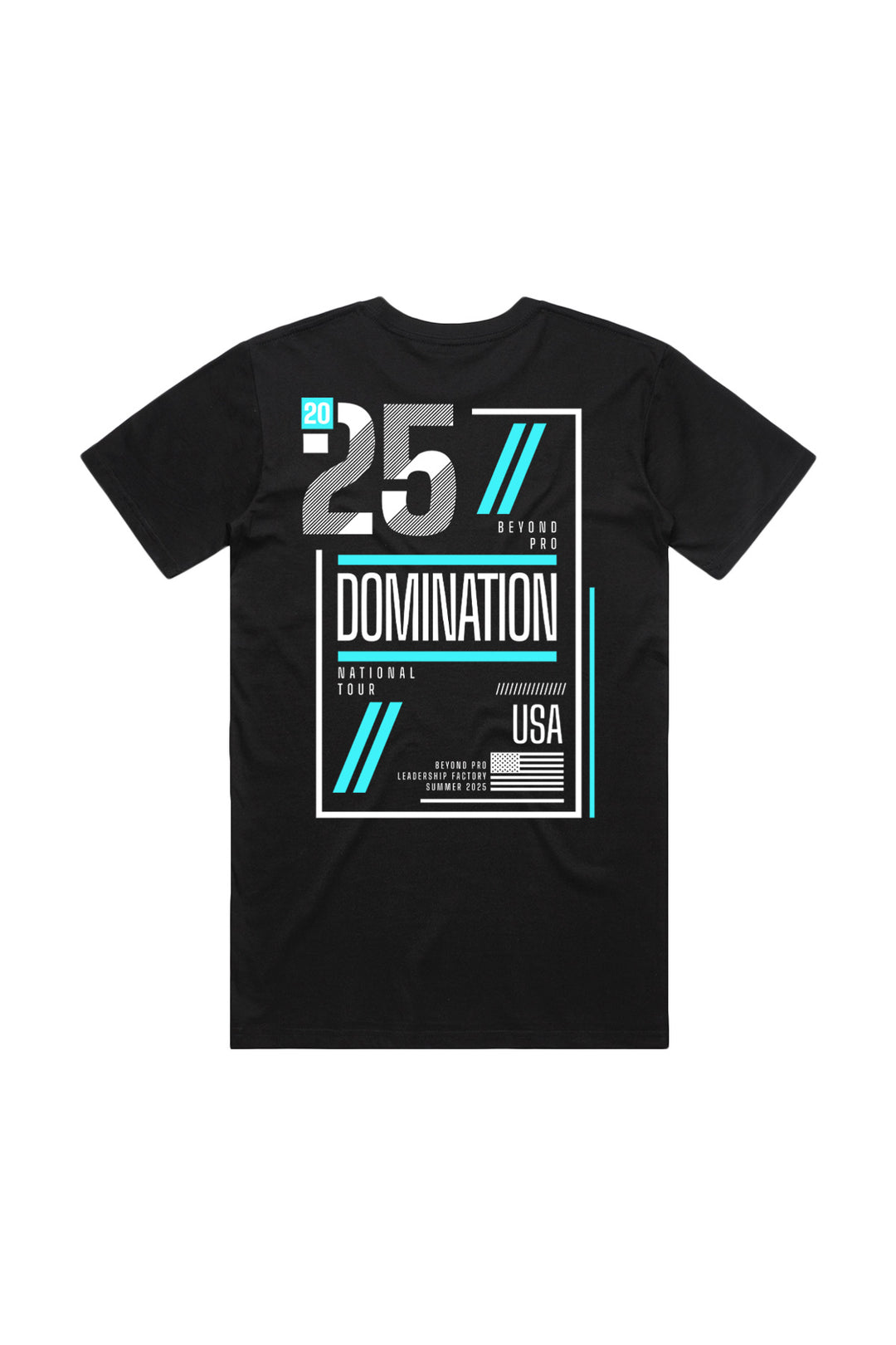 PPT - Domination
